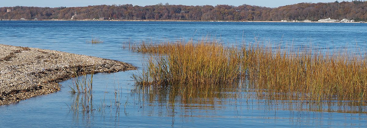 Long Island Sound East End Counselors